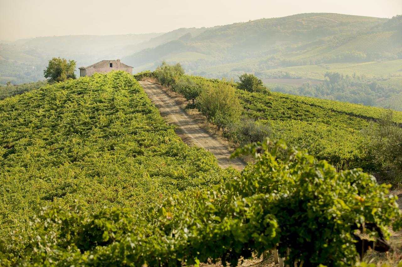 Baldovino B&B Villamagna  Exterior foto